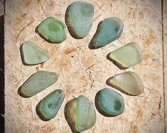 Moss and Sage GREEN Genuine Flawless Sea-Tumbled Sea Glass Jewelry Grade Loose (10)