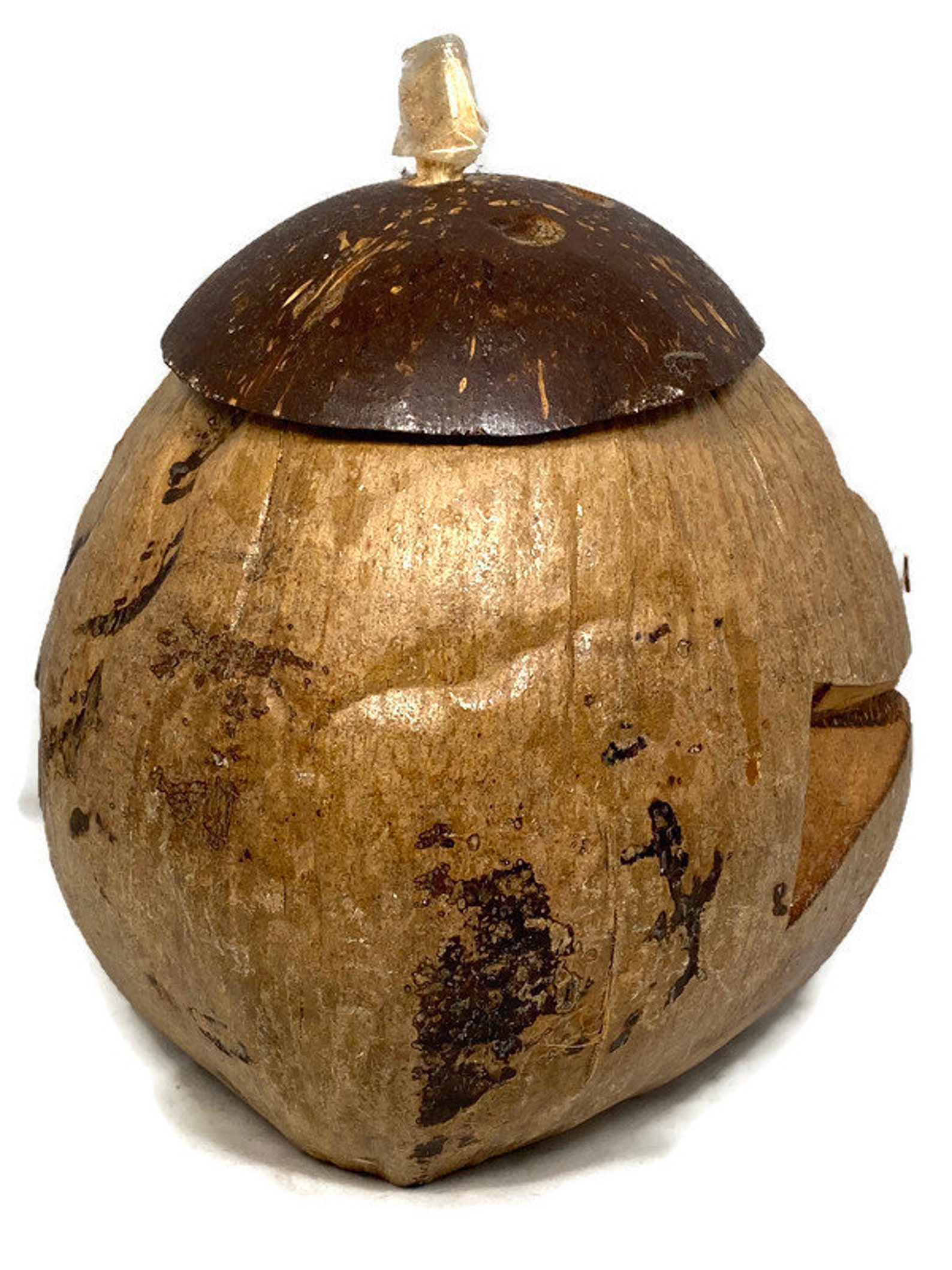 Vintage Carved Coconut Hawaii Souvenir Etsy