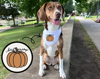 Subtle Anti Trump Pet Bandana, Fall Accessories for Dog or Cat