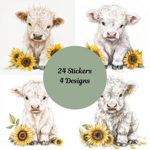 Adesivi Highland Cow con Girasoli Adesivi tagliati quadrati. Coccole e scintille. Girasoli