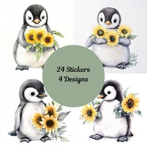Adesivi con taglio quadrato a forma di pinguino con girasoli. Coccole e scintille. Girasoli