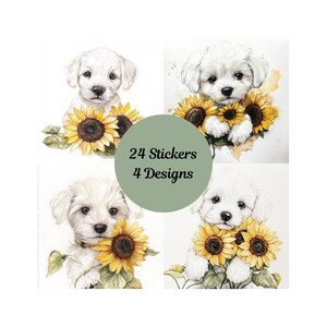Adesivi Cane con Girasoli Taglio Quadrato. Coccole e scintille. Girasoli
