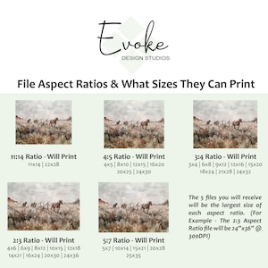 Product description aspect ratios for a downloadable wall art file of wild horses running through a Southwestern desert landscape full of wildflowers.