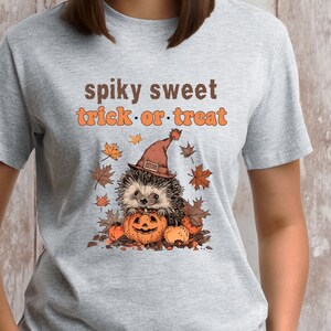 May include: A gray t-shirt with a cute hedgehog wearing a witch hat and holding a jack-o'-lantern. The text "spiky sweet trick or treat" is printed on the shirt.