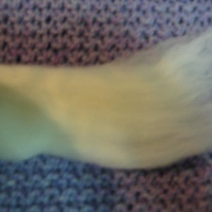 Merino wool for spinningsuper soft image 3