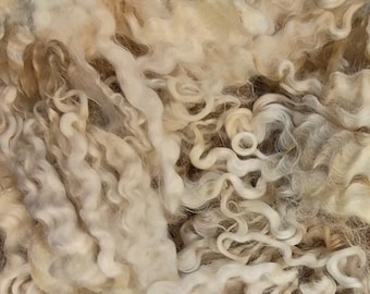 Raw Border Leicester Fleece for handspinning