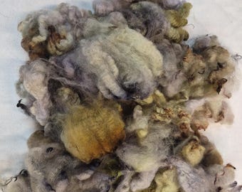 Romney Texel Fleece for Hand Spinning Knitting Crochet Felting Needle Felting