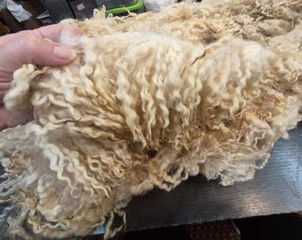 Raw Border Leicester Fleece for handspinning