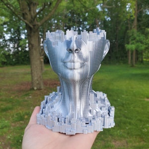 Può includere: Una scultura in 3D stampata in argento di una testa umana con un design di città. La testa è rivolta in avanti e la città è visibile sulla parte superiore della testa e intorno al collo.