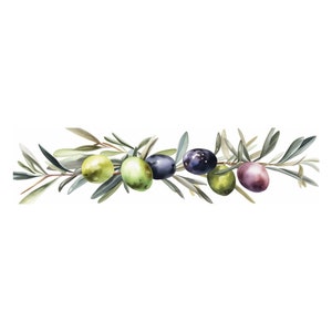 May include: Watercolour painting of a branch of olive tree with green and purple olives.