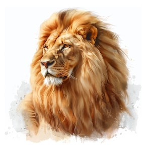 12 portraits de Lions Clipart, JPG, clipart aquarelle imprimable Lions, JPG de haute qualité, téléchargement numérique, clipart lion aquarelle en papier