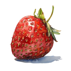 12 PNG Yummy Strawberries  Clipart, Strawberry clipart, Printable Watercolo clipart, transparent PNG,Paper craft strawberry, berry for craft