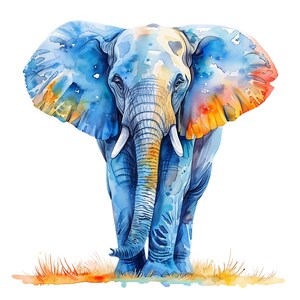 21 imágenes prediseñadas de elefante PNG. Imagen de elefante, imágenes prediseñadas de elefante. Elefante de acuarela, alta calidad, imágenes prediseñadas de tarjetas Greating, fondo transparente