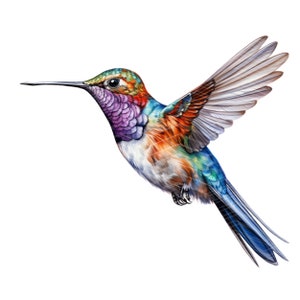 Watercolor Hummingbird Cliparts: Flying Bird Images (JPG Digital Download)
