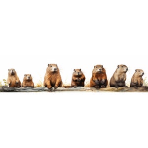 Beaver Border Clipart: Watercolor PNG, Commercial Use (Digital Download)
