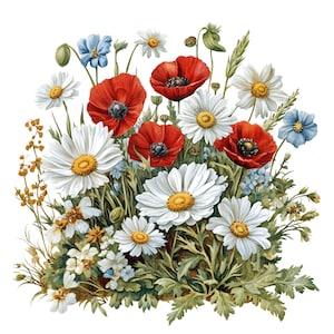 12 PNG de margaridas e papoulas clipart, gráficos de flores silvestres com fundo transparente, aquarela floral PNG, download digital de alta qualidade,