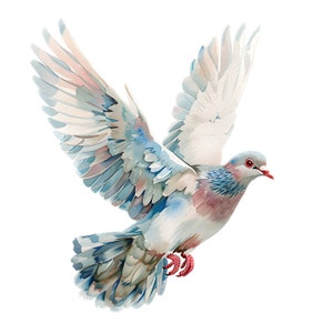 14 PNG colomba Clipart per la stampa. Sfondo trasparente png Colomba clipart. Colombe clipart acquerello stampabili, PNG di alta qualità, artigianato di carta