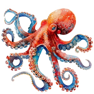 76 PNG Octopus clipart, For Commercial Use, Clipart. Transparent background png octopus. Printable Watercolor clipart octopus, octopus image