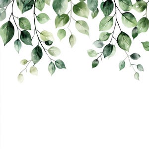 May include: Watercolor painting of green leaves on branches against a white background. The leaves are arranged in a border at the top of the image.
