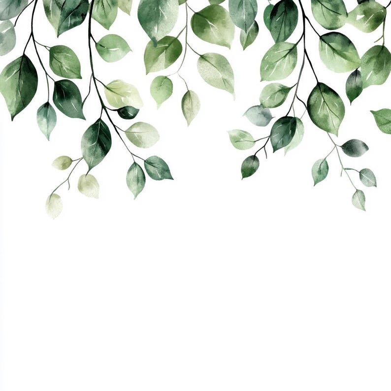 May include: Watercolor painting of green leaves on branches against a white background. The leaves are arranged in a border at the top of the image.