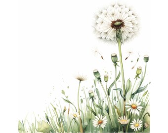 May include: Watercolour painting of a dandelion with white fluffy seeds and green stems. The dandelion is surrounded by other dandelions in various stages of growth, including some with closed seed heads. There are also white daisy-like flowers in the painting.