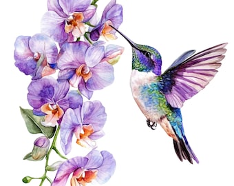 Watercolor Hummingbird & Orchid Clipart: Floral PNG Set (Digital Download)