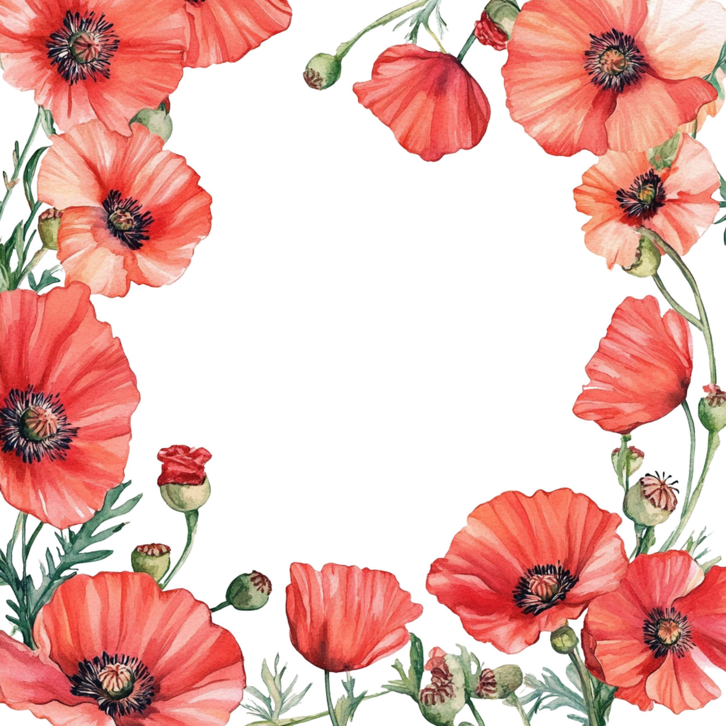 14 Watercolor Red Poppy Frames Clipart, High-quality PNG, Digital ...