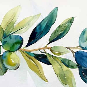 Peut inclure: Peinture &agrave; l'aquarelle d'une branche d'olivier avec des feuilles vertes et des olives bleues.
