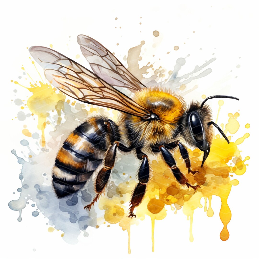 水彩画のミツバチのクリップアート、商用利用可（デジタルダウンロード