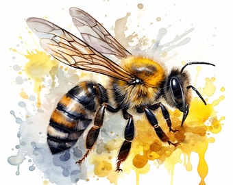 Watercolor Honey Bee Clipart, Commercial Use (Digital Download), Summer Clipart
