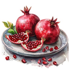 15 CLIPARTS AQUARELLE DE GRENADE, image png de grenade, image numérique de grenade, illustration de cuisine, art mural grenade, image de fruit