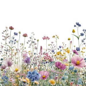 Clipart de flores silvestres en acuarela: Colección PNG florales (uso comercial)