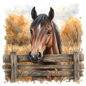 12 HORSE On a FARM CLIPARTS, aquarel paard clipart, boerderijdieren illustratie, paard illustratie, paard portret, paard kunst aan de muur afbeelding