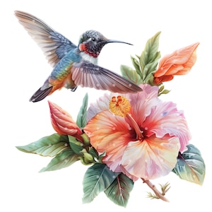 20 imágenes prediseñadas de colibríes en acuarela: ilustraciones imprimibles de alta calidad para decoración de guarderías, scrapbooking y creación de tarjetas.