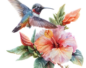 Watercolor Hummingbird Clipart: Colibri PNG Illustrations (Digital Download), Summer Clipart