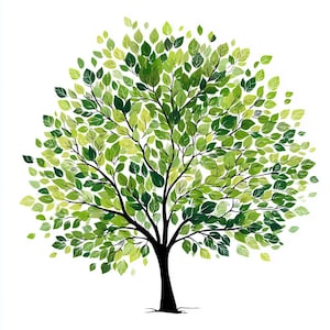 Arbre vert PNG 12, Clipart arbre aquarelle, fond Transparent, Art botanique de la forêt, Illustration de la nature haute résolution, téléchargement numérique