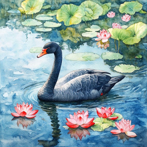 Watercolor Black Swan Clipart Bundle: Wall Art PNG (Commercial Use), Spring Clipart
