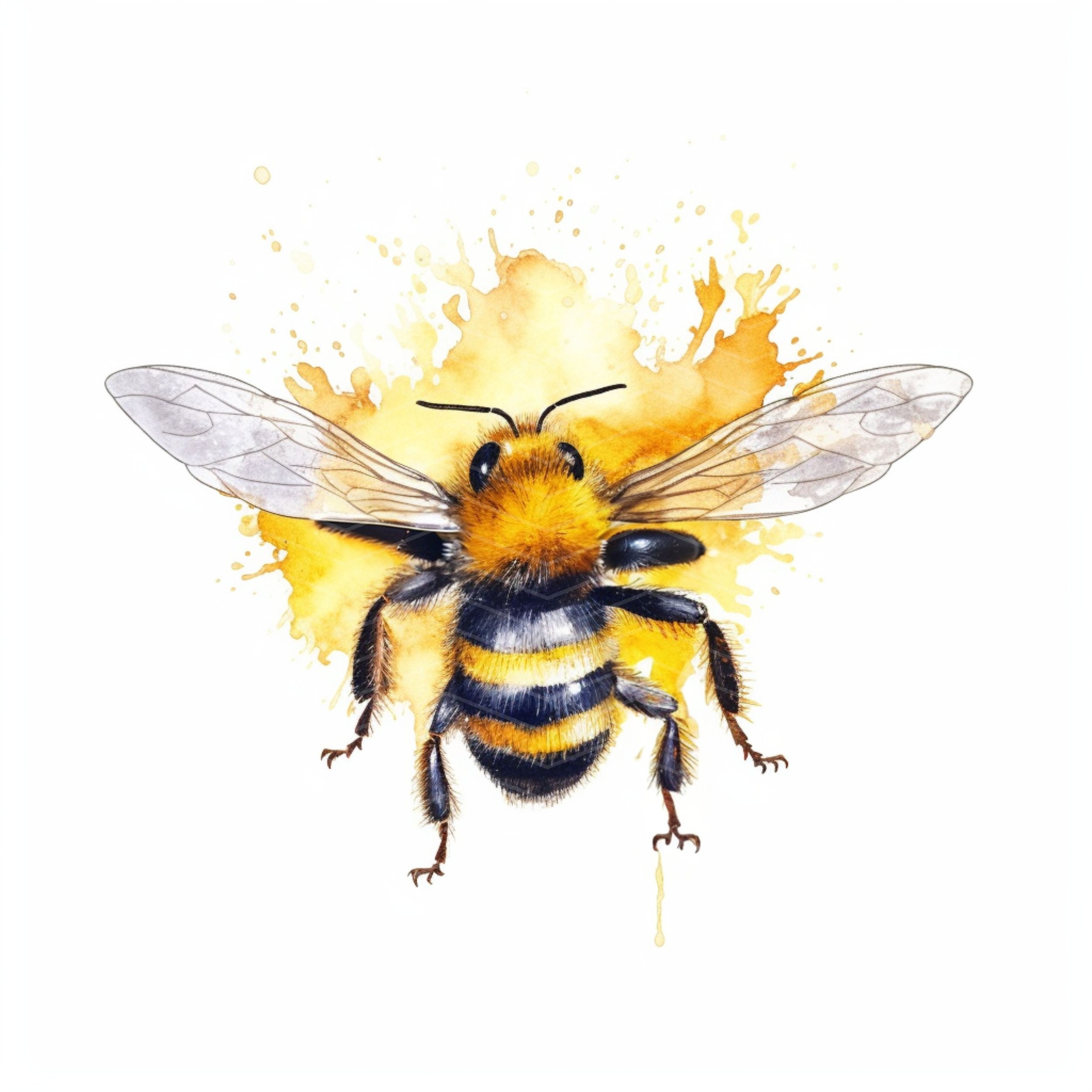 水彩画のミツバチのクリップアート、商用利用可（デジタルダウンロード