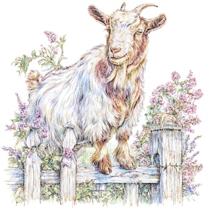 水彩ヤギのクリップアート：素朴な農場の動物 PNG（5000x5000 ピクセル、300 DPI）（即時ダウンロード）