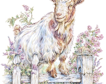 Aquarell Ziege Clipart: Rustikaler Bauernhof PNG (Instant Download)