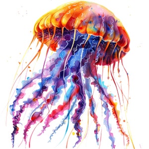Watercolor Jellyfish Clipart Bundle: Transparent PNG Graphics (Instant Download)