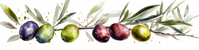 Peut inclure: Une peinture &agrave; l'aquarelle d'une branche d'olivier avec des feuilles vertes et cinq olives. Les olives sont vertes, violettes et rouges.