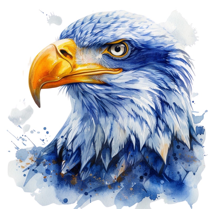 20 PNG Eagle Cliparts. Eagle Clipart, Eagles Clipart. Watercolor