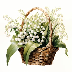 12 rieten mand met lelietje-van-dalen clipart, vintage bloemenmand, hoge kwaliteit JPG, digitale download, commercieel gebruik, tijdschriften