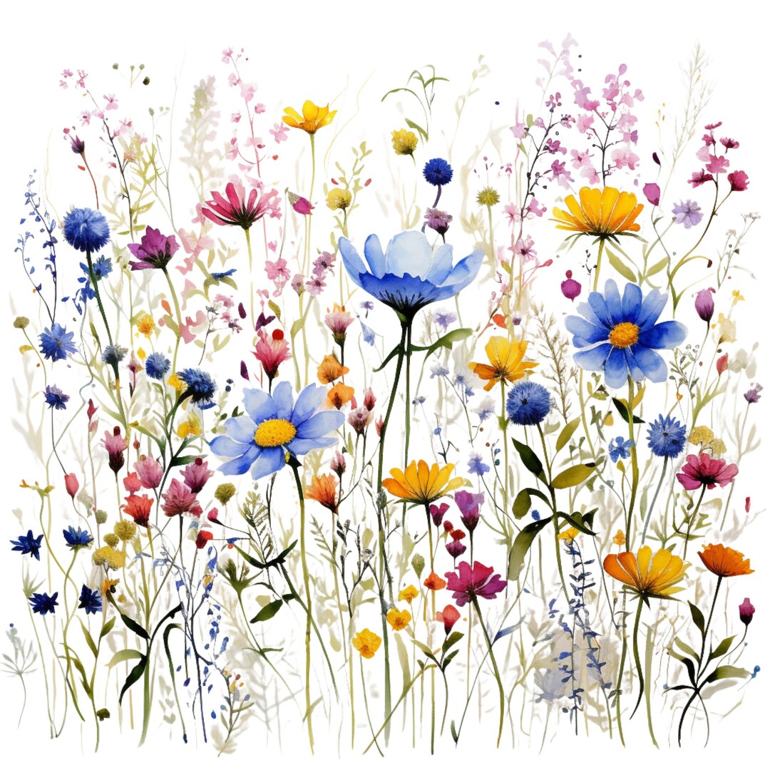 10 BRIGHT WILDFLOWERS CLIPARTS, Png Wildflowers, Textile Flower Print ...