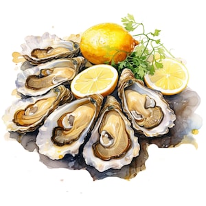 16 clipart di OSTRICHE FRESCHE SERVITE, ostriche png che servono, ostriche acquerello, ostriche servite con limone, ostriche fresche con vino png clipart
