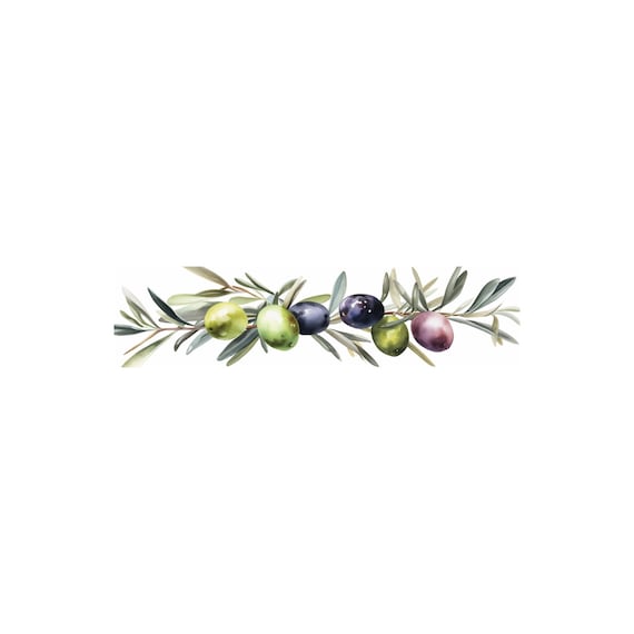 Olive Branch Border Clipart, JPG Images (Digital Download), Summer Clipart