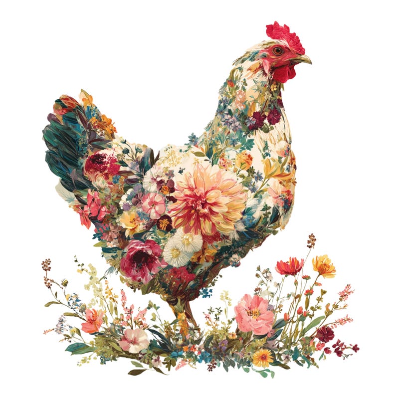 12 Watercolor Floral Chicken Clipart: Farm Animal PNG (digital Download ...