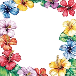 14 Hibiskus Hawaii Aquarell Blumen Rahmen, Clipart, PNG, digitaler Download, Blumenrahmen, Scrapbooking, druckbare Kunst, kommerzielle Nutzung