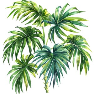 Watercolor Palm Leaves Clipart: Tropical Greenery PNG (Digital Download, Commercial Use)